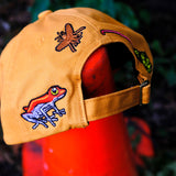 POISONOUS DARTS HAT - GOLD