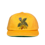 TURMERIC HAT