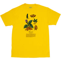 TURMERIC TEE YELLOW